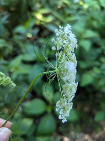 Makamah Nature Preserve - Fort Salonga, NY