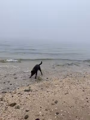 Geisslers Beach Park - Fort Salonga, NY