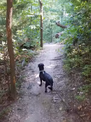 Meadowlark Park - Fort Salonga, NY