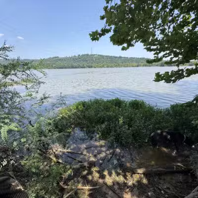 Fort Smith Dog Park - Fort Smith, AR
