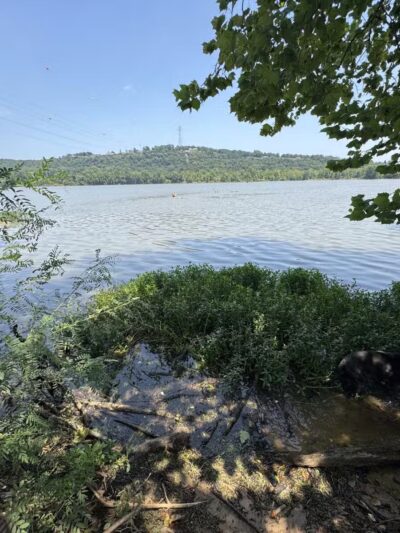 Fort Smith Dog Park - Fort Smith, AR