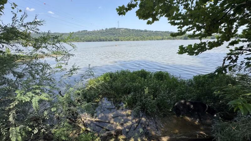 Fort Smith Dog Park - Fort Smith, AR