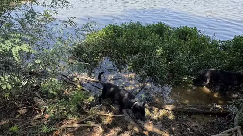 Fort Smith Dog Park - Fort Smith, AR