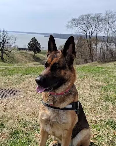 Fort Washington Park - Fort Washington, MD