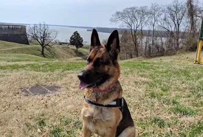 Fort Washington Park - Fort Washington, MD