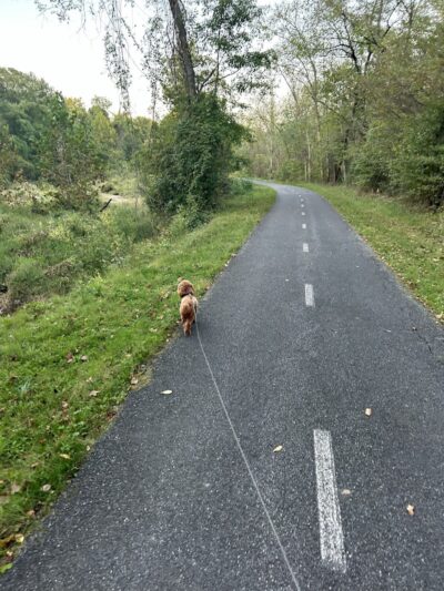 Henson Creek Trailhead - Fort Washington, MD