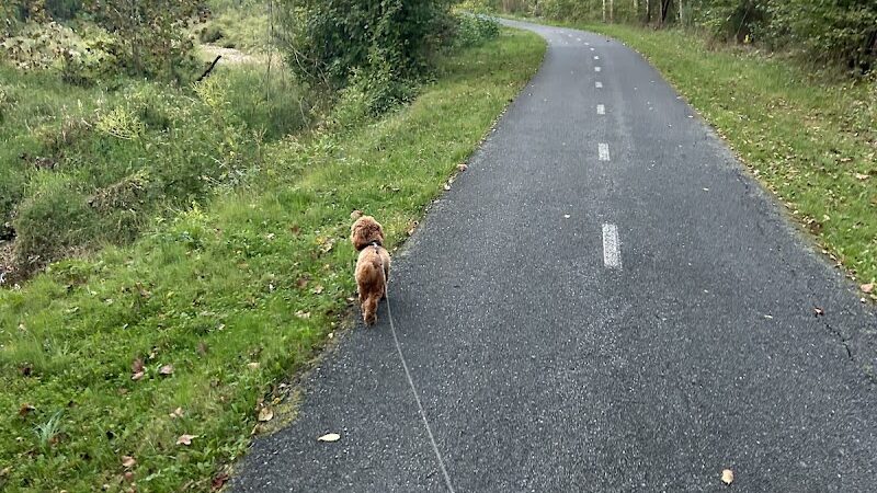 Henson Creek Trailhead - Fort Washington, MD