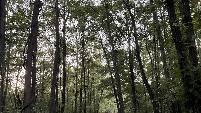 Henson Creek Trailhead - Fort Washington, MD