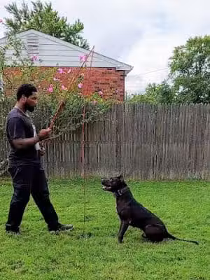 iSpeakDogg - Fort Washington, MD