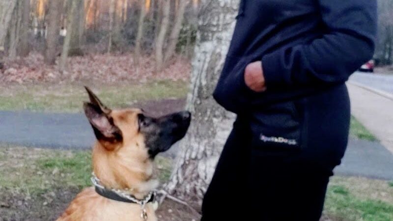 iSpeakDogg - Fort Washington, MD