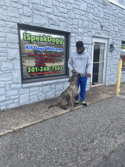 iSpeakDogg - Fort Washington, MD