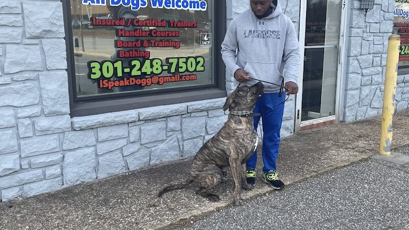 iSpeakDogg - Fort Washington, MD