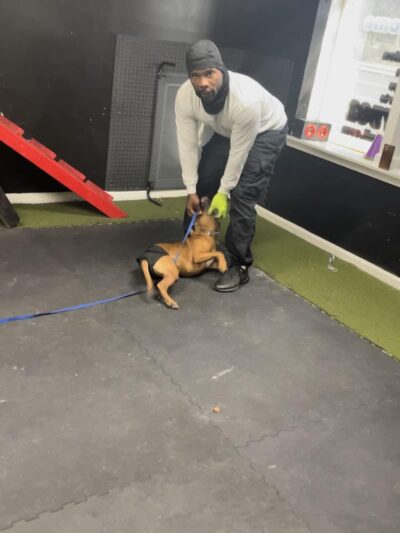 iSpeakDogg - Fort Washington, MD