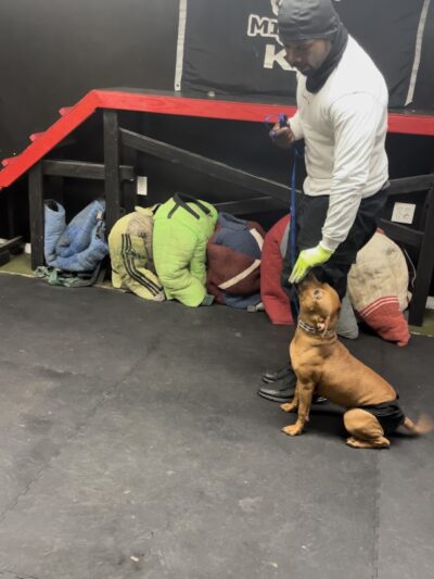 iSpeakDogg - Fort Washington, MD