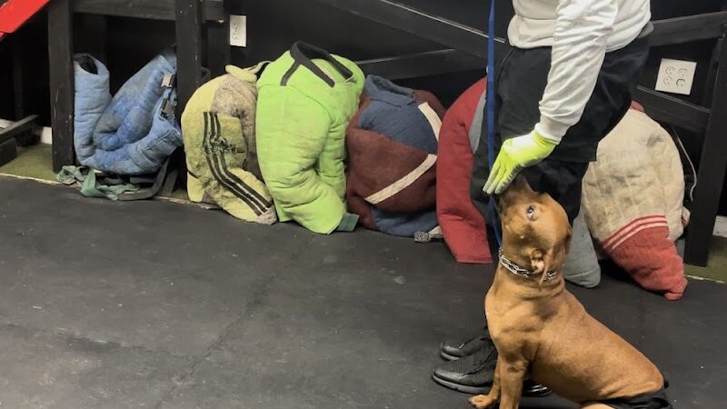 iSpeakDogg - Fort Washington, MD