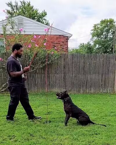 iSpeakDogg - Fort Washington, MD