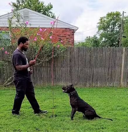 iSpeakDogg - Fort Washington, MD