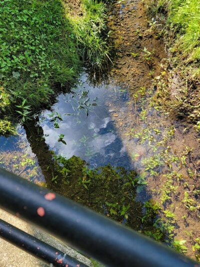 Tor Bryan Park And Playground - Fort Washington, MD