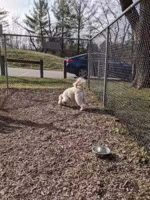 MonDaug Bark Park - Fort Washington,