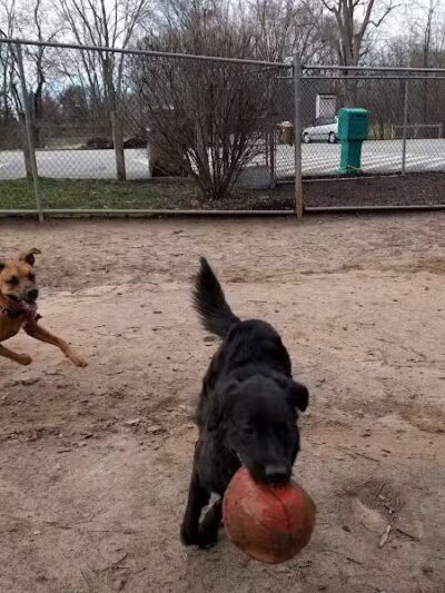 MonDaug Bark Park - Fort Washington,