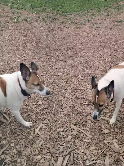MonDaug Bark Park - Fort Washington,