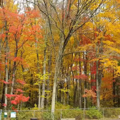 MonDaug Bark Park - Fort Washington,