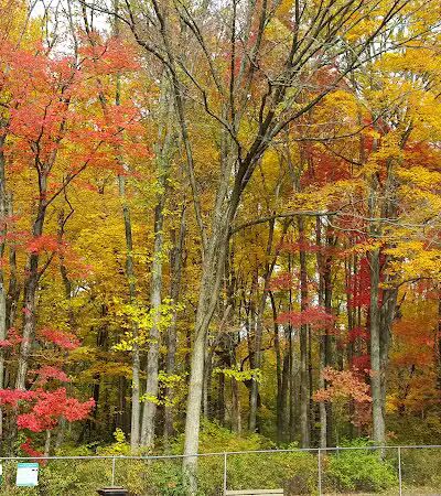 MonDaug Bark Park - Fort Washington,