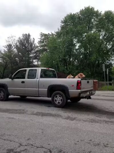 MonDaug Bark Park - Fort Washington,