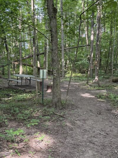 Fido's Forest Dog Park: Appointment and Registration Required - Fort Wayne, IN