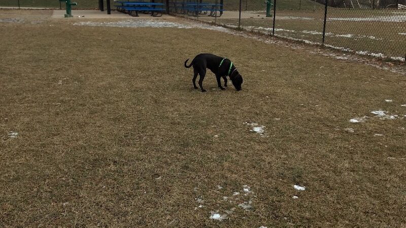 Camp Canine: Members Only - Fort Wayne, IN