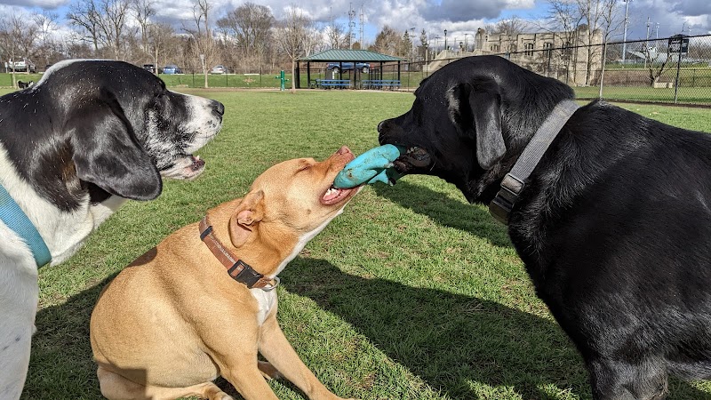 Camp Canine: Members Only - Fort Wayne, IN