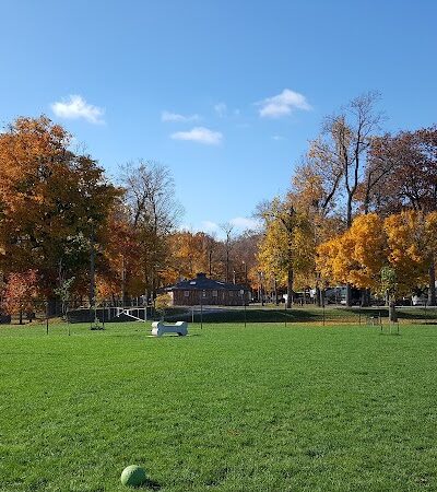 Camp Canine: Members Only - Fort Wayne, IN