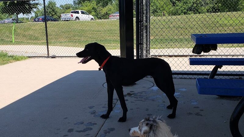 Camp Canine: Members Only - Fort Wayne, IN