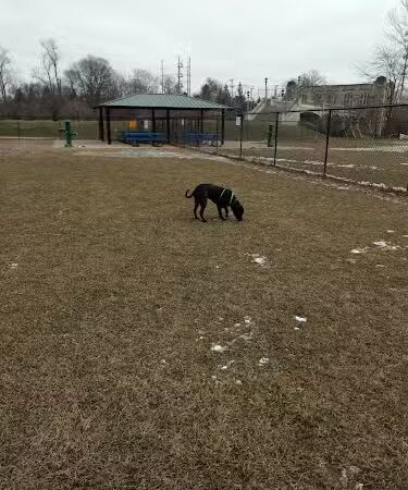 Camp Canine: Members Only - Fort Wayne, IN