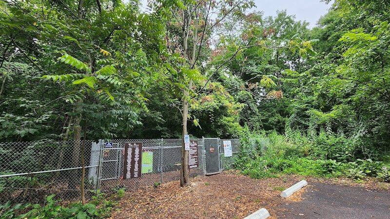 Fido's Forest Dog Park: Appointment and Registration Required - Fort Wayne, IN