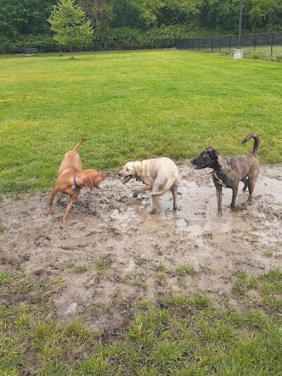 Pawster Park (Pay Access) - Fort Wayne, IN