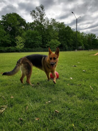 Pawster Park (Pay Access) - Fort Wayne, IN