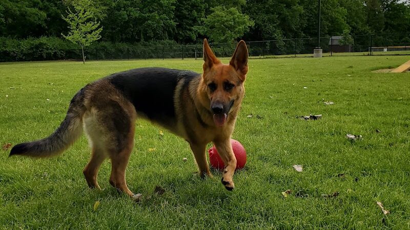 Pawster Park (Pay Access) - Fort Wayne, IN