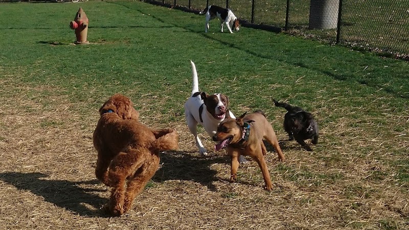 Pawster Park (Pay Access) - Fort Wayne, IN