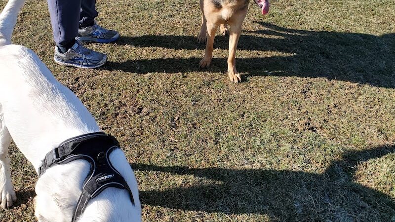 Pawster Park (Pay Access) - Fort Wayne, IN