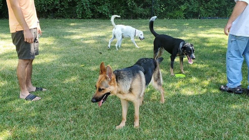 Pawster Park (Pay Access) - Fort Wayne, IN