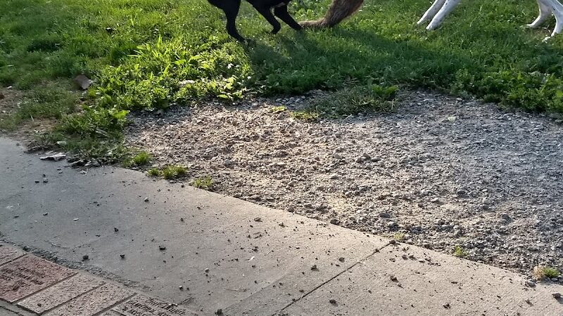 Pawster Park (Pay Access) - Fort Wayne, IN