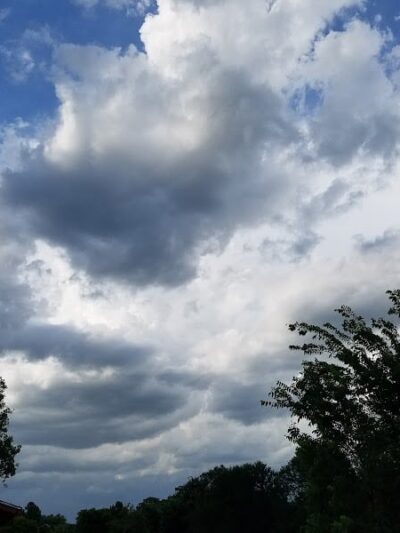 Prairie Dog' Park - Fort Worth, TX