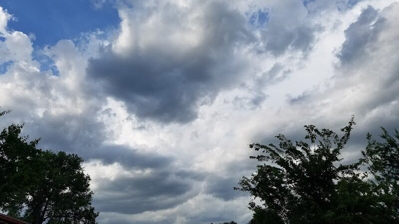Prairie Dog' Park - Fort Worth, TX