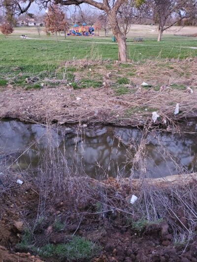 Prairie Dog' Park - Fort Worth, TX