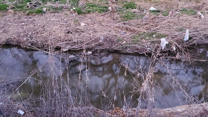 Prairie Dog' Park - Fort Worth, TX