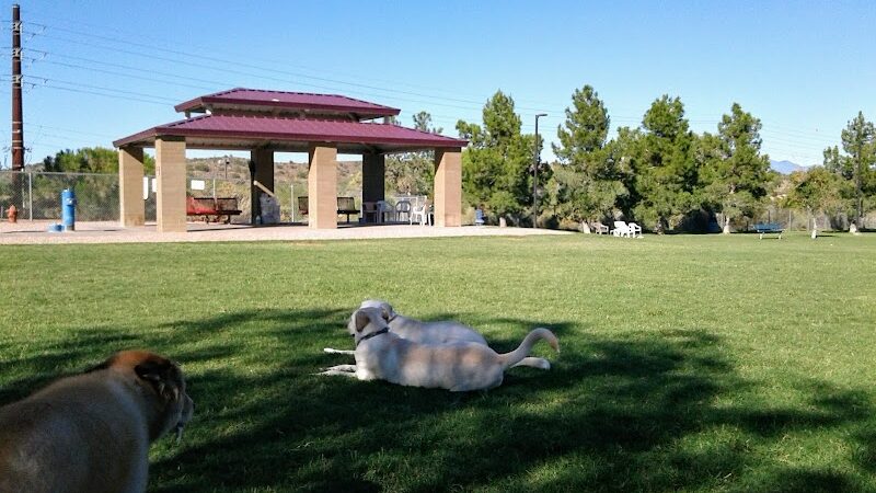 Desert Vista Dog Park - Fountain Hills, AZ