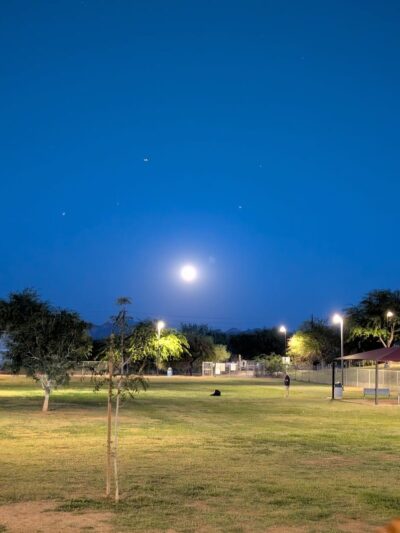Desert Vista Dog Park - Fountain Hills, AZ