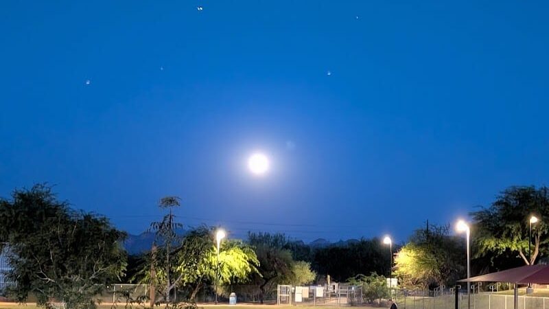 Desert Vista Dog Park - Fountain Hills, AZ