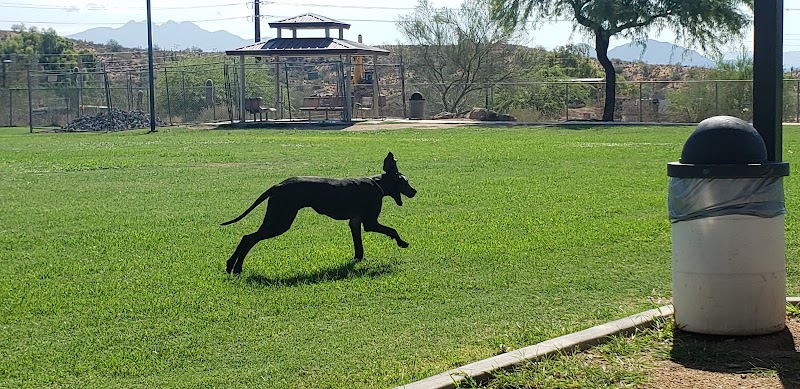 Desert Vista Dog Park - Fountain Hills, AZ